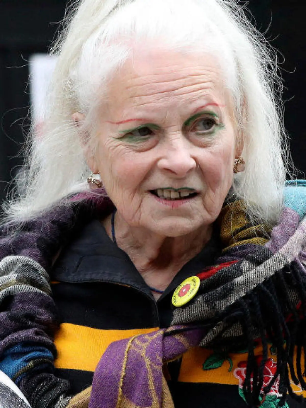Bild zu: "So sexy kämpft Vivienne Westwood für die Umwelt"