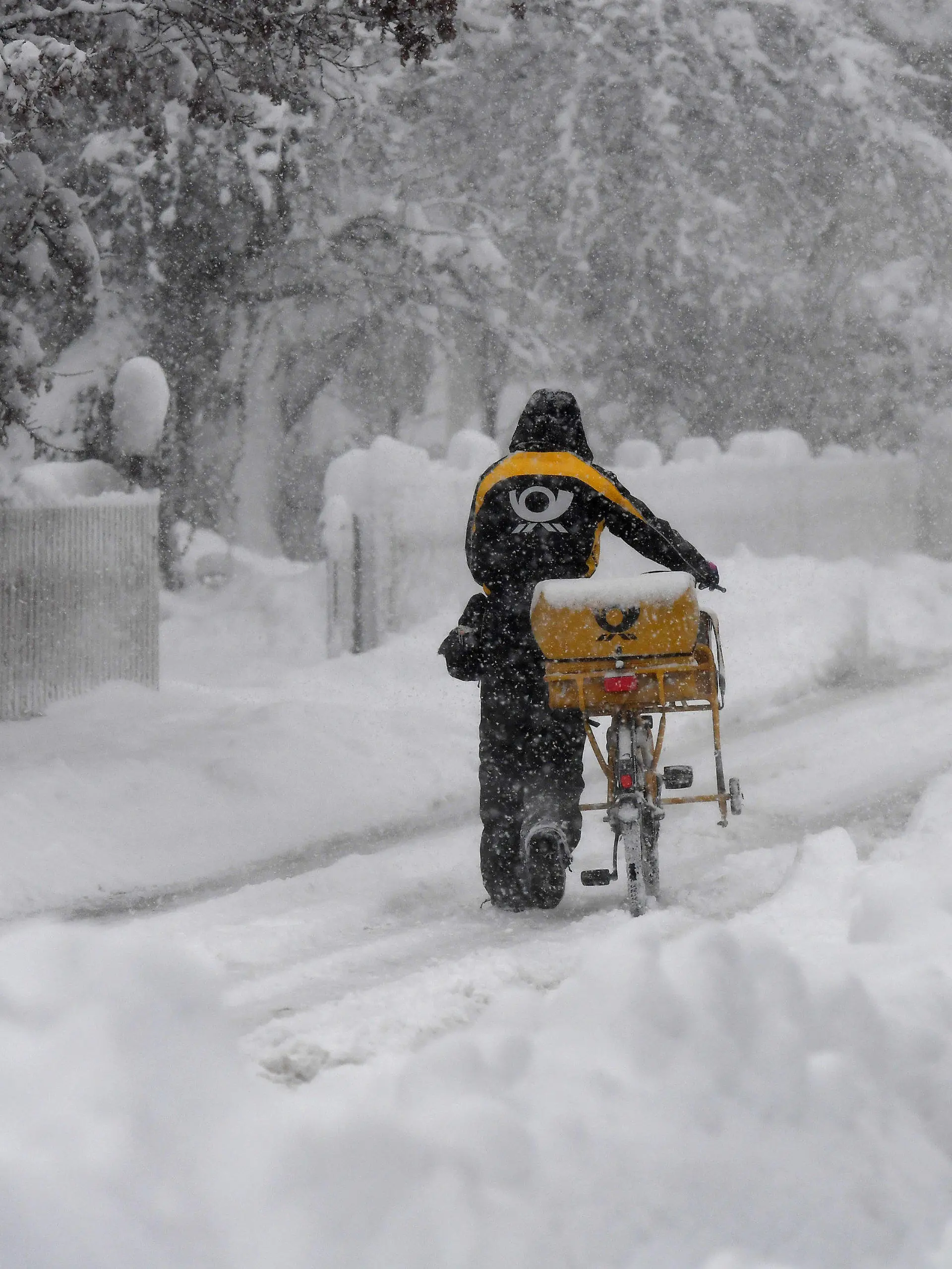 14.01.2021, Bayern, Garmisch-Partenkirchen: Ein Postbote schiebt sein Postfahrrad durch den Schnee. Innerhalb weniger Stunden sorgte eine Nordstaulage für viel frischen Schnee in den Bergen. Foto: Angelika Warmuth/dpa +++ dpa-Bildfunk +++