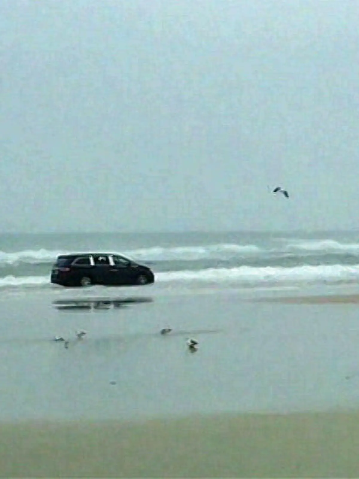 daytona-beach-florida-usa-2