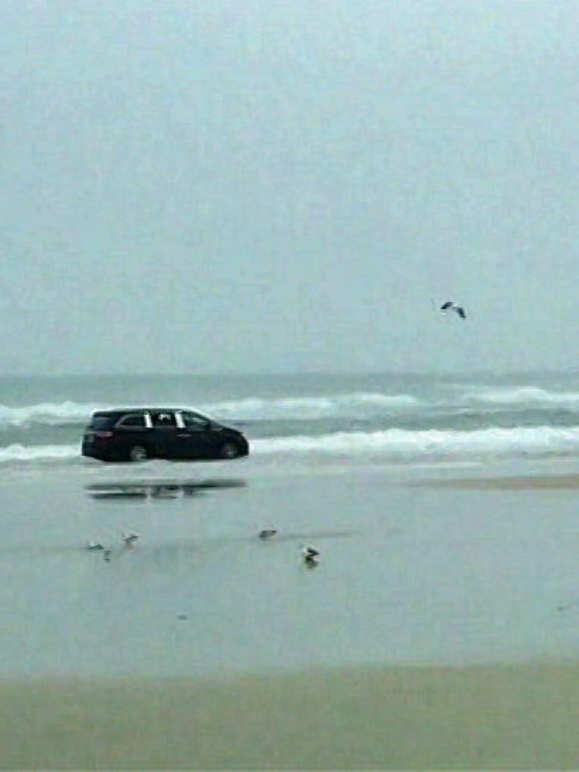 daytona-beach-florida-usa-2