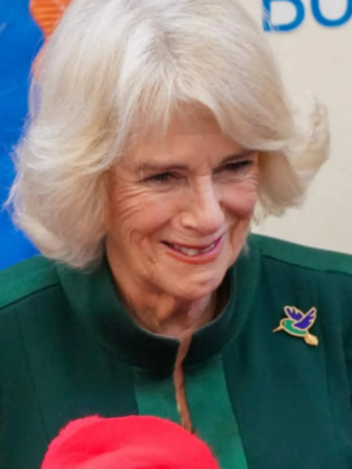 Königin Camilla als die "am wenigsten spießige Königin der Geschichte" gelobt