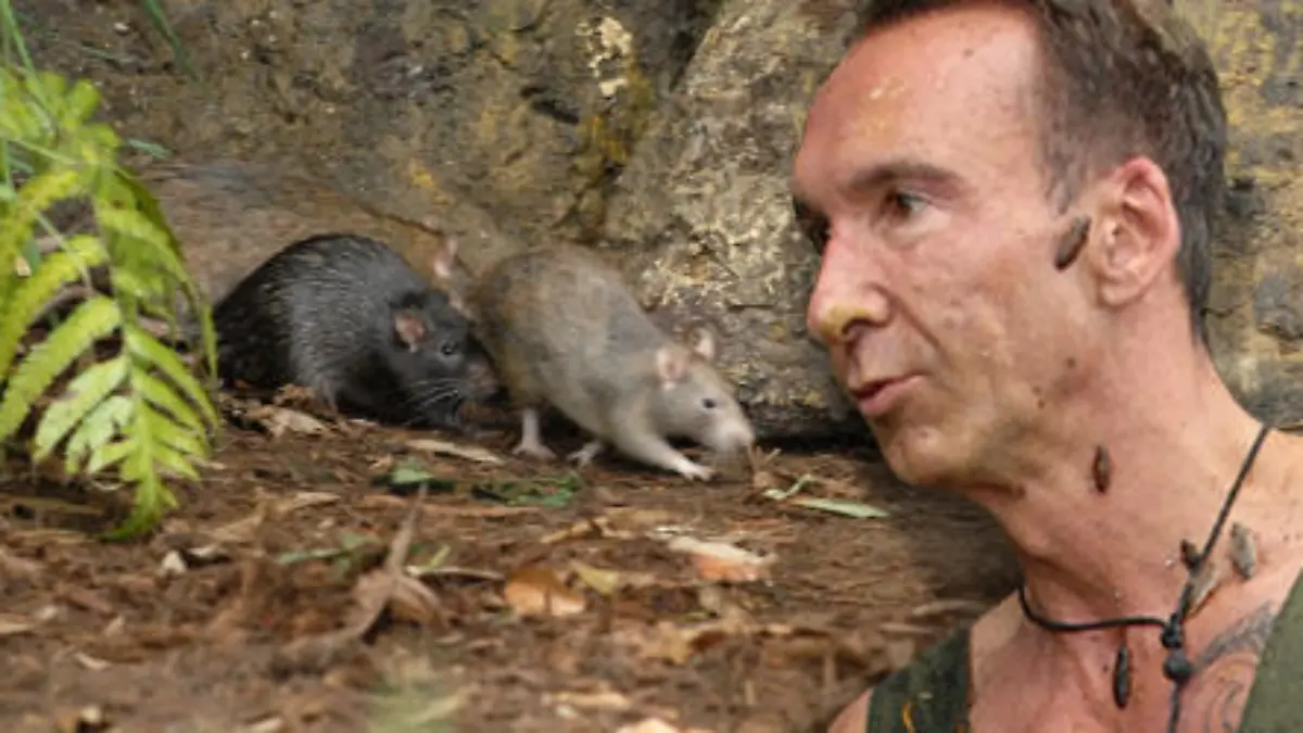 2014-01-29 174833 IBES Dauerauftrag Teaser 33000 jochen ratten aufmacher 2
