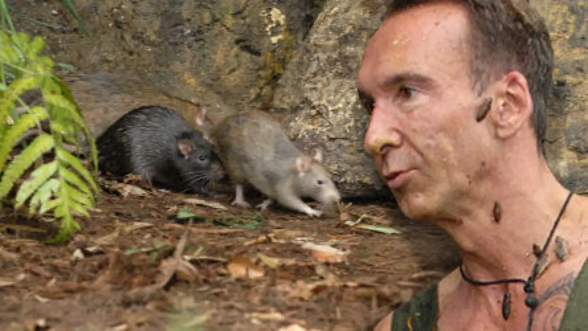 2014-01-29 174833 IBES Dauerauftrag Teaser 33000 jochen ratten aufmacher 2