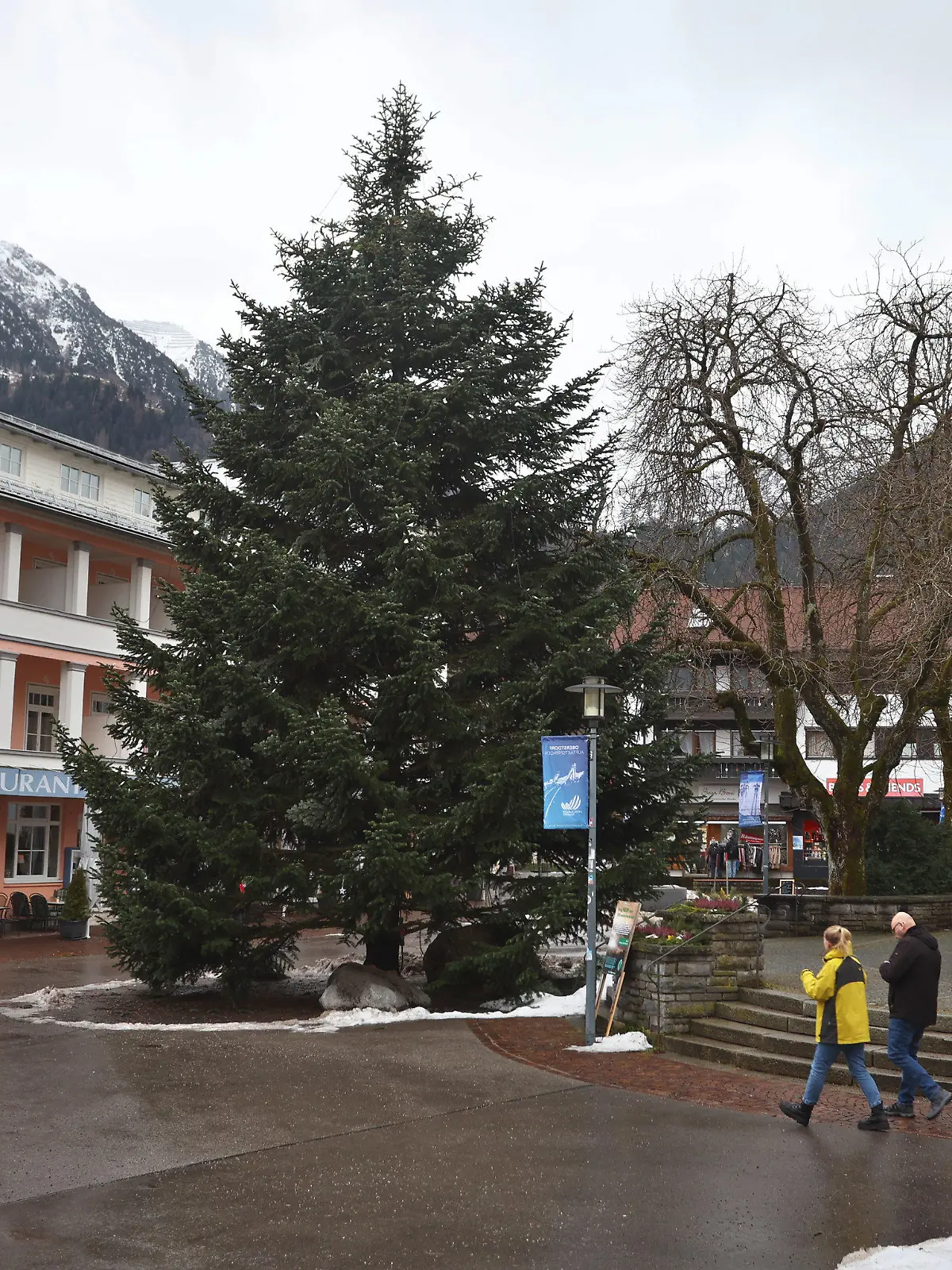 22.12.2022, Bayern, Oberstdorf: Ein Christbaum steht im Ortszentrum. Die nahezu 25 000 Euro teure Tanne wurde knapp 600 Kilometer weit vom Sauerland ins Allgäu transportiert. Foto: Karl-Josef Hildenbrand/dpa +++ dpa-Bildfunk +++