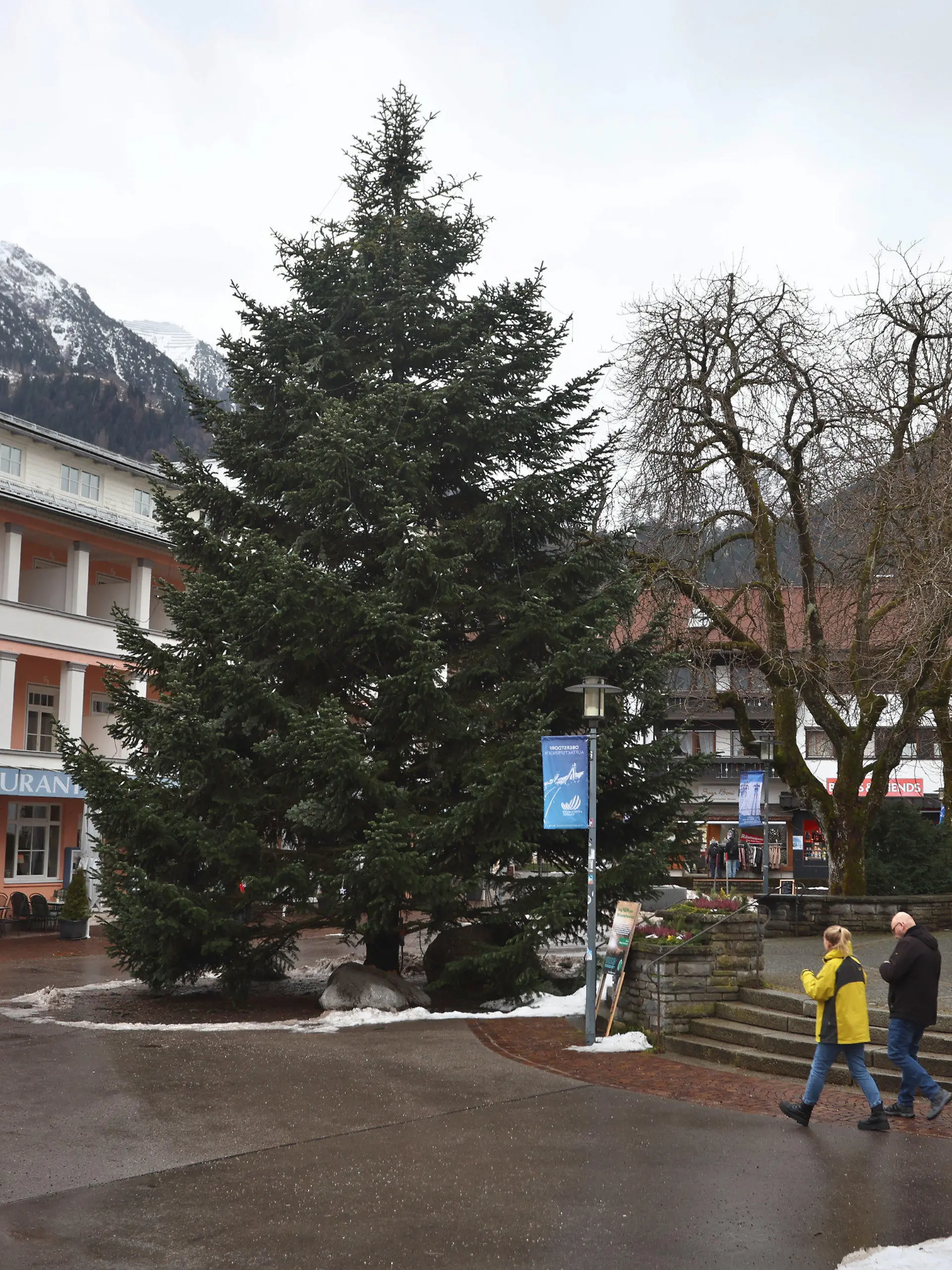 22.12.2022, Bayern, Oberstdorf: Ein Christbaum steht im Ortszentrum. Die nahezu 25 000 Euro teure Tanne wurde knapp 600 Kilometer weit vom Sauerland ins Allgäu transportiert. Foto: Karl-Josef Hildenbrand/dpa +++ dpa-Bildfunk +++