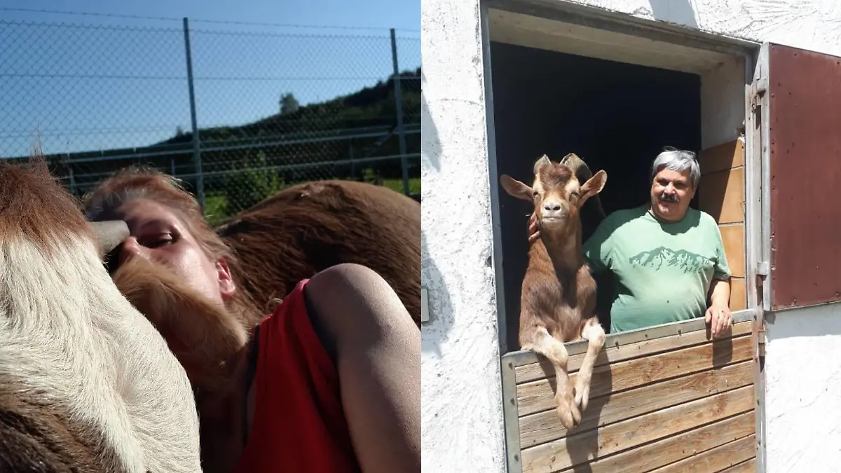 Gnadenhof "Unsere Zickenfarm" Eveline Treischl