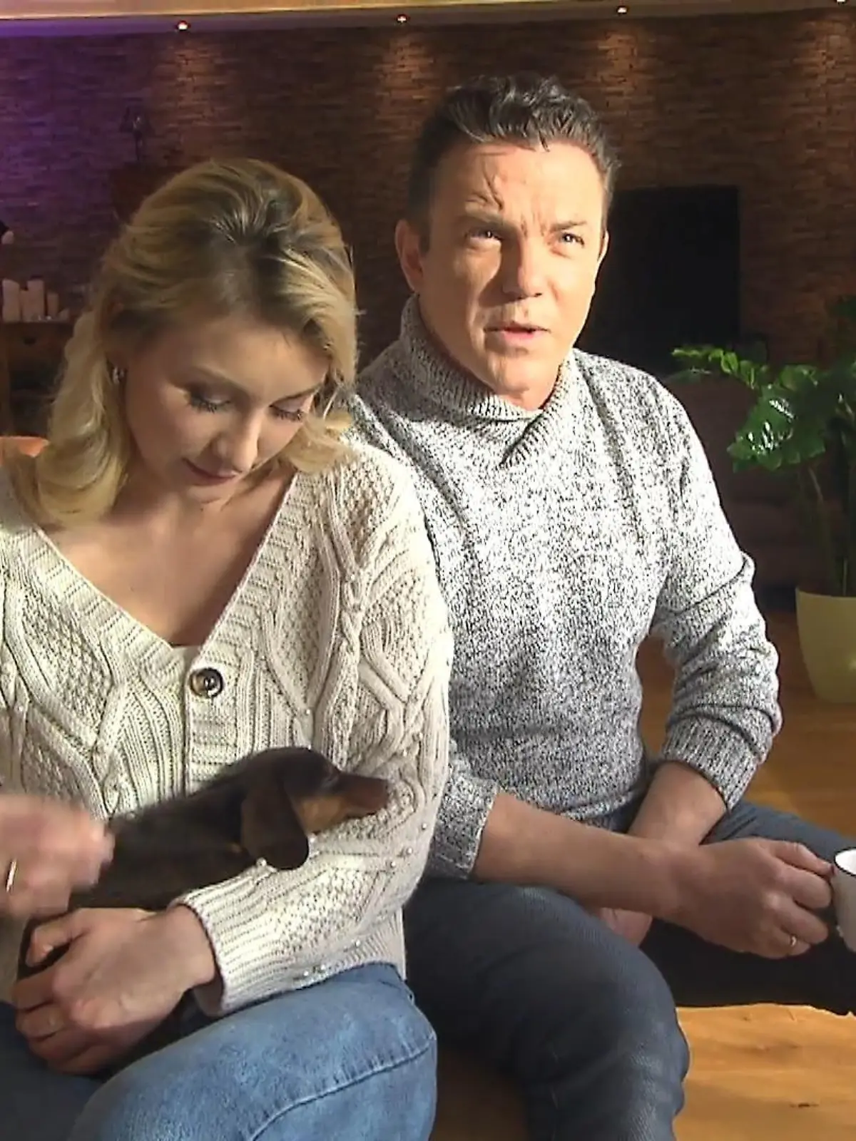 Bild zu: "Dackel-Dame Lotti Mross ist jetzt Scheidungshund"