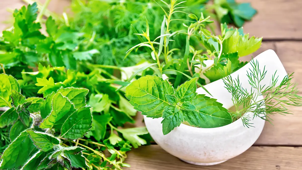 Leaves and sprigs of mint, dill, tarragon, thyme, celery and parsley in a stone mortar with a pestle and on a table against the background of an old wooden board