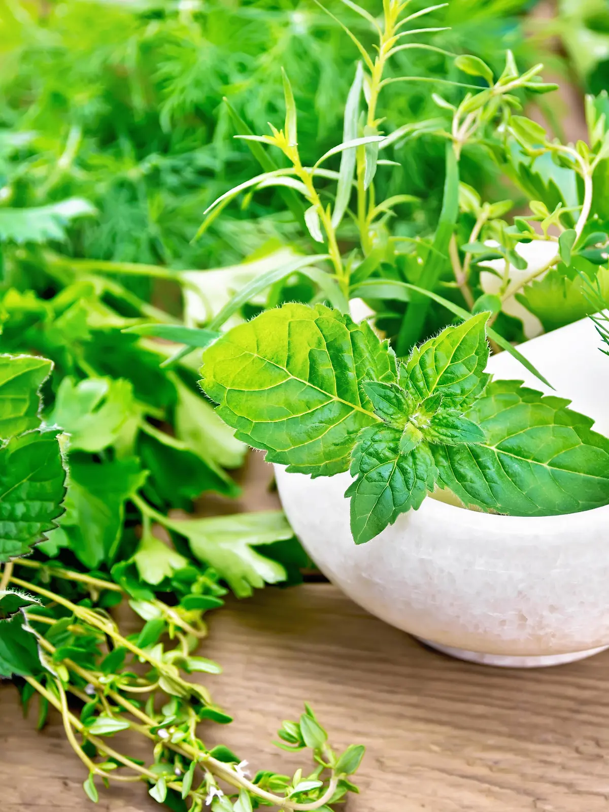 Leaves and sprigs of mint, dill, tarragon, thyme, celery and parsley in a stone mortar with a pestle and on a table against the background of an old wooden board