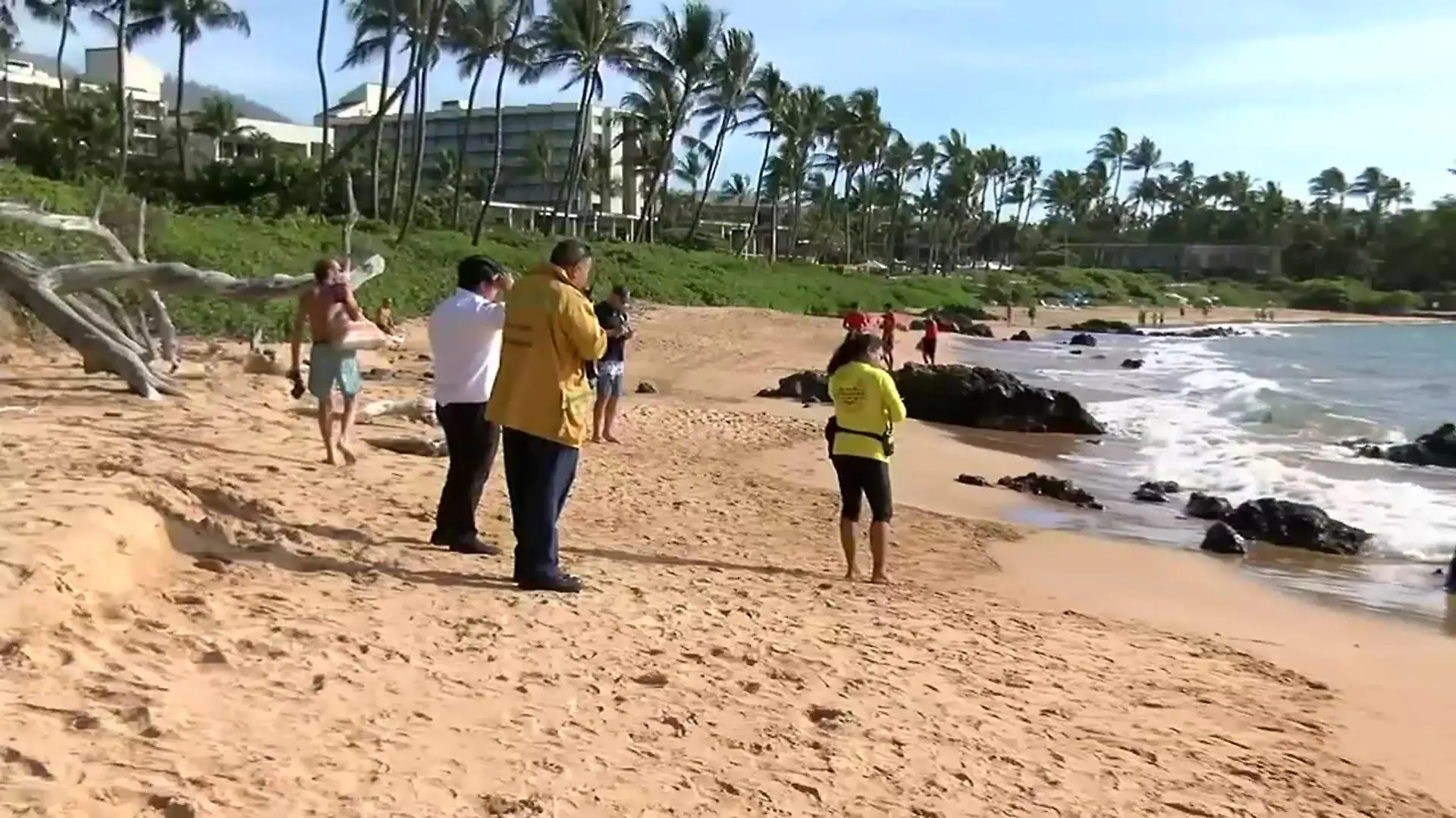 Hawaii Hai