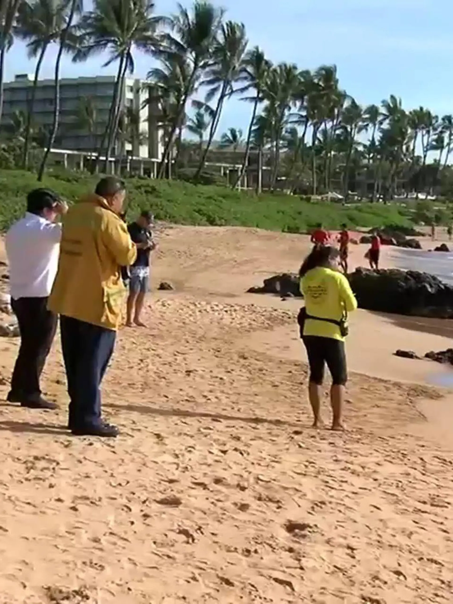 Hawaii Hai