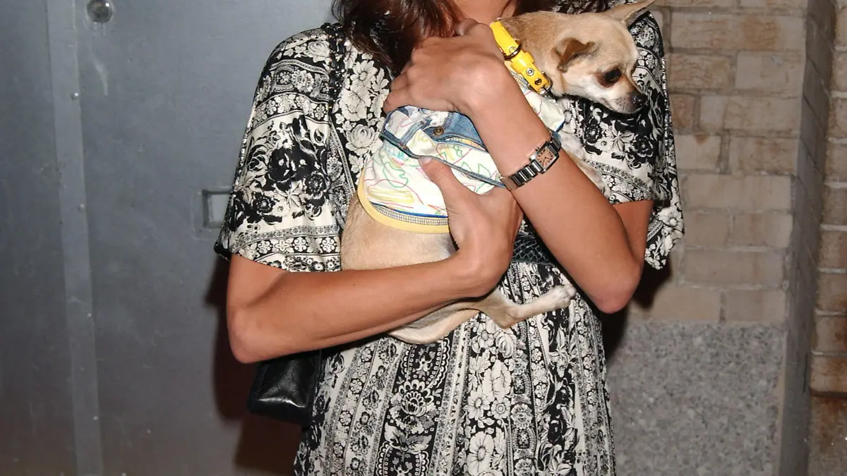 Aug. 14, 2013 - (File Photo) - GIA ALLEMAND, who appeared on ''The Bachelor'' and its spinoff show ''Bachelor Pad,'' died Wednesday following an apparent suicide attempt. PICTURED: June 11, 2007. New York City, Model Gia Allemand arrives at Animal Fair Magazine's 8th Annual Paws for Style held at Arena