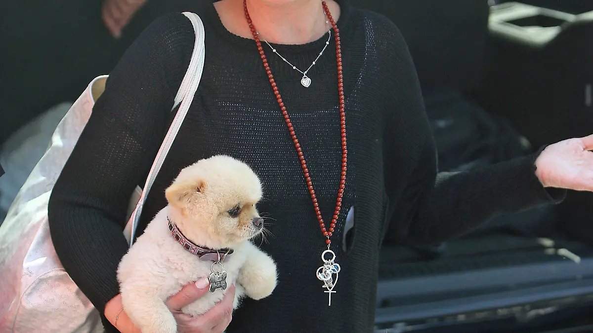 Sharon and Ozzy Osbourne leave there hotel in Tribeca New York for a Black Sabbath concert in Clarkston, MI.