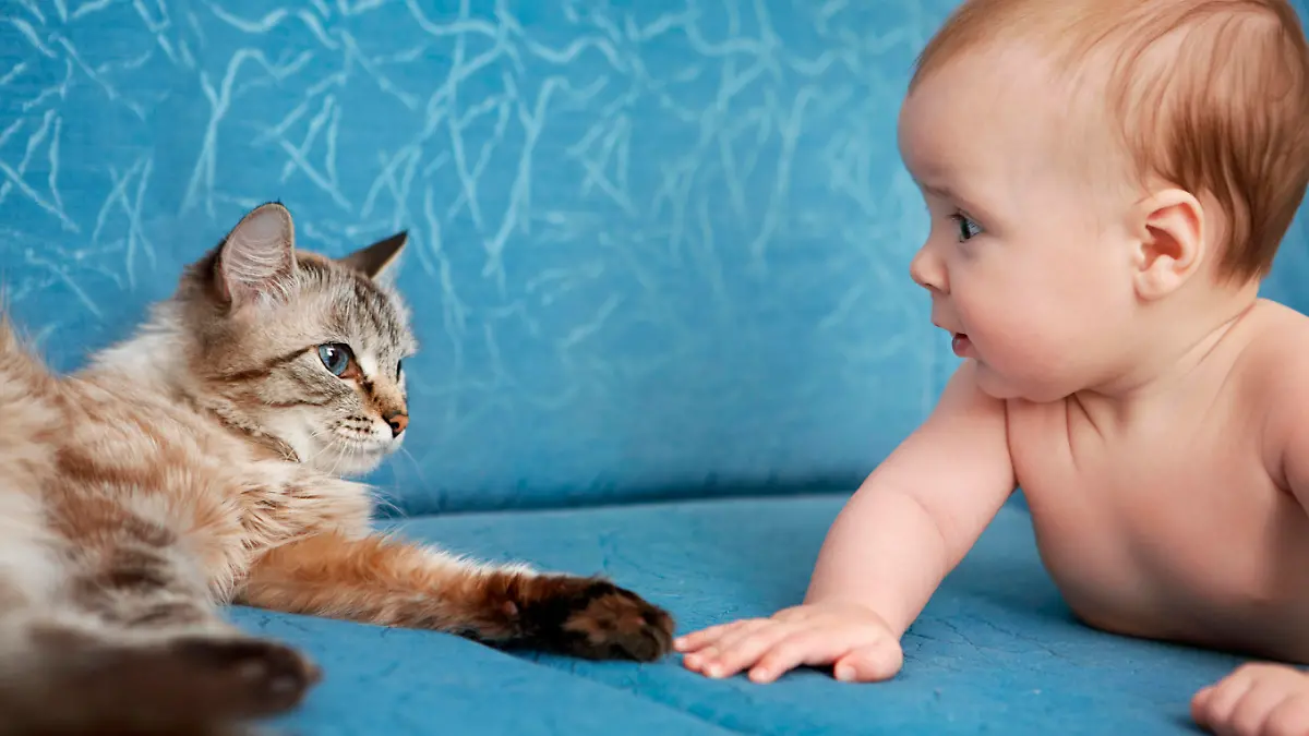 iStock 000017533931 Large