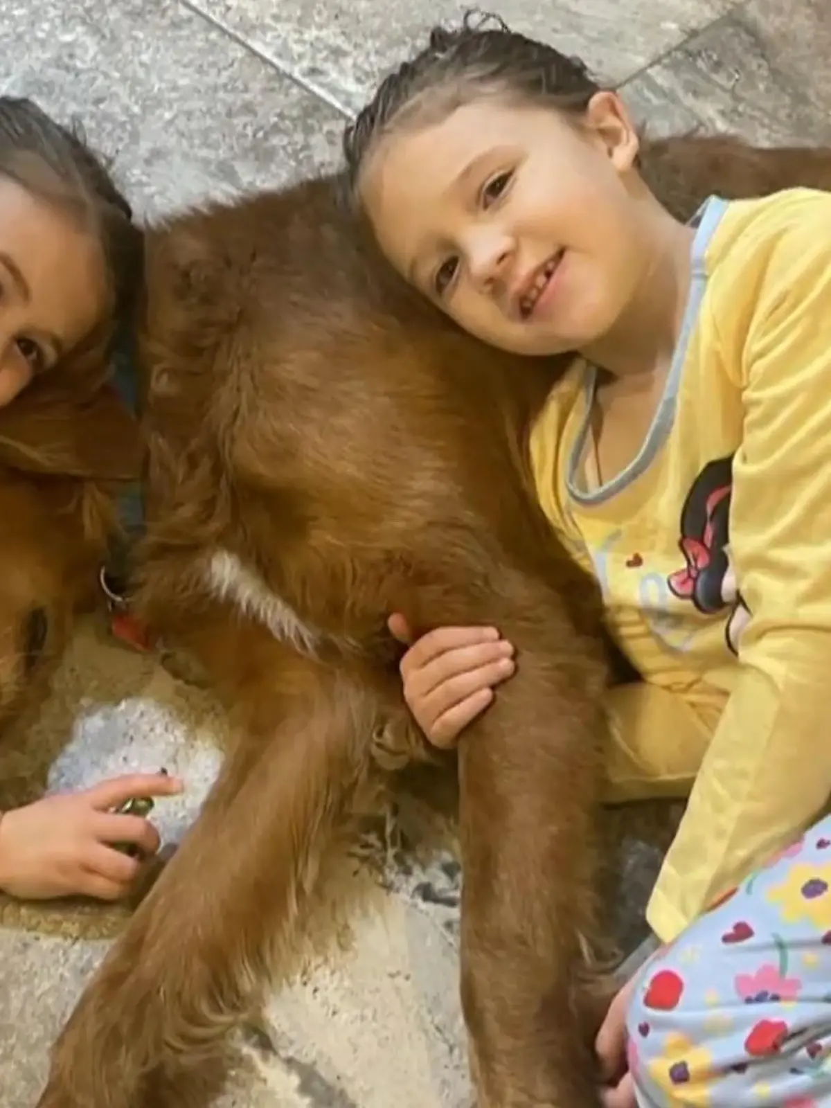 Golden Retriever Artemis ist ein wahrer Held: Der Familienhund aus Louisiana rettete den Geschwistern Abigail (7) und Cecilia Bourg (4) ihr Leben. Die Mädchen hatten sich im Wald verlaufen und fanden den Weg nach Hause offenbar nicht mehr zurück. Wie der Vierbeiner die beiden beschützte, erzählt die Familie im Video.