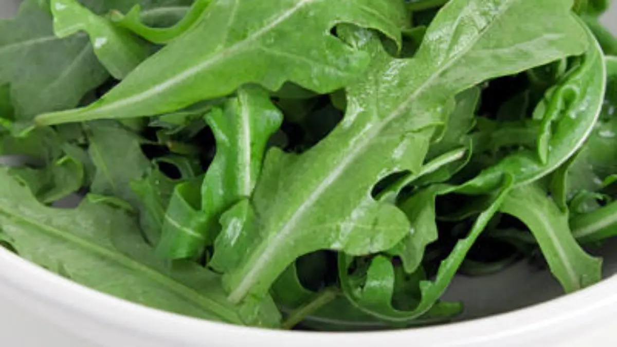 rucola 400 300