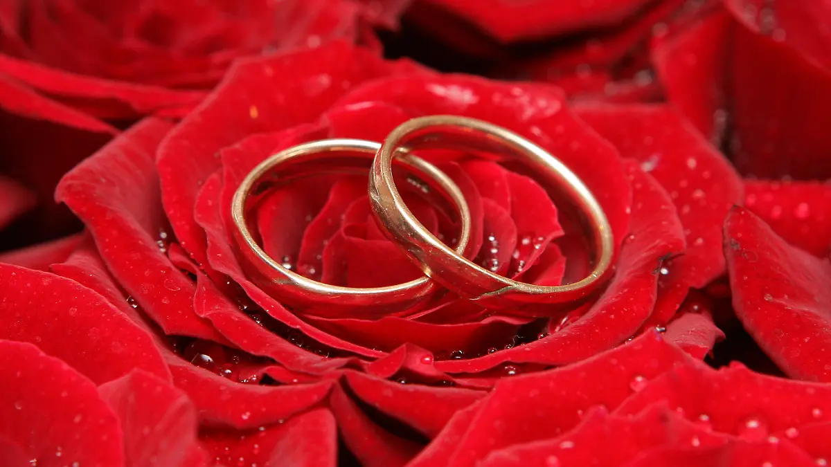 Das Symboldbild zeigt Trauringe auf einer Rosenblüte, aufgenommen auf einer Hochzeitsmesse in Frankfurt (Oder) am 28.01.2007. Foto: Patrick Pleul +++(c) dpa - Report+++