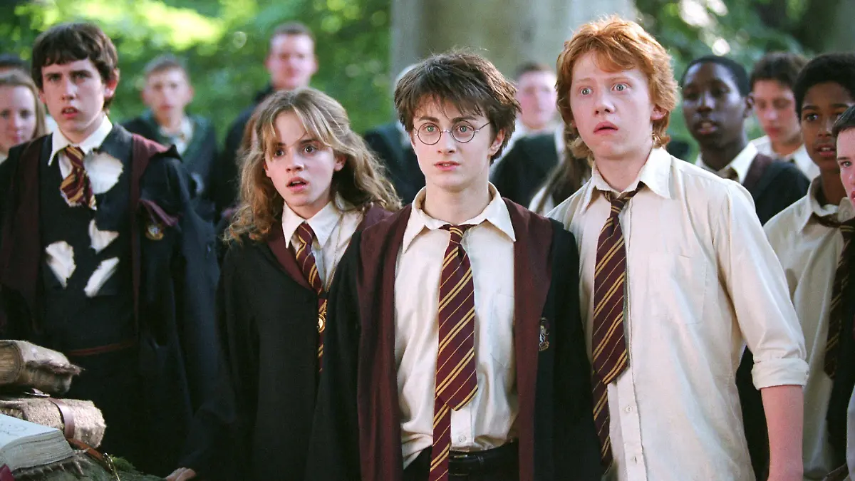 (vo.v.li.) Neville (Matthew Lewis), Hermine (Emma Watson), Harry (Daniel Radcliffe) und Ron (Rupert Grint) sind entsetzt, als Malfoy im Unterricht "Pflege magischer Geschöpfe" von dem Hippogreif Seidenschnabel verletzt wird.