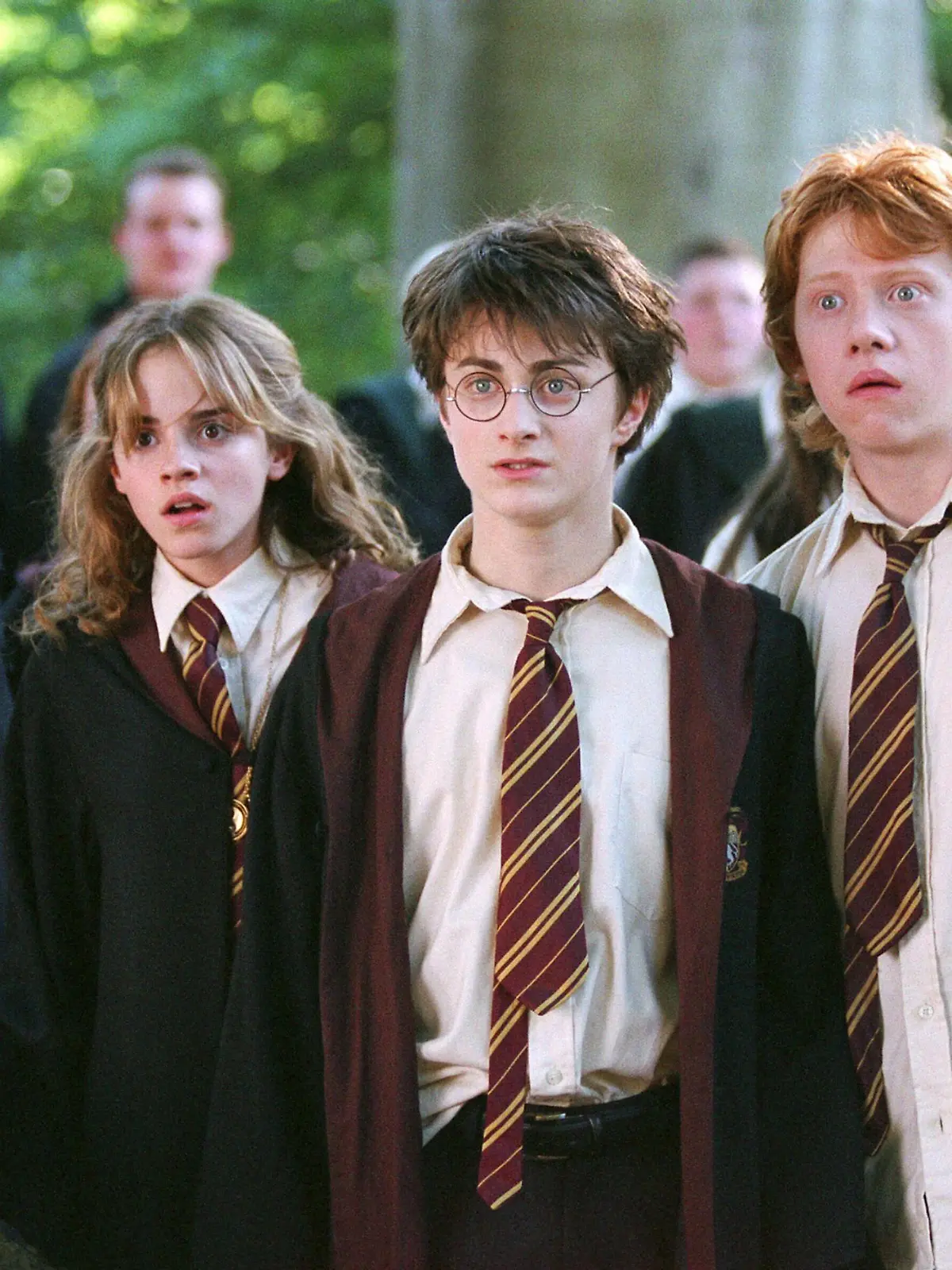 (vo.v.li.) Neville (Matthew Lewis), Hermine (Emma Watson), Harry (Daniel Radcliffe) und Ron (Rupert Grint) sind entsetzt, als Malfoy im Unterricht "Pflege magischer Geschöpfe" von dem Hippogreif Seidenschnabel verletzt wird.
