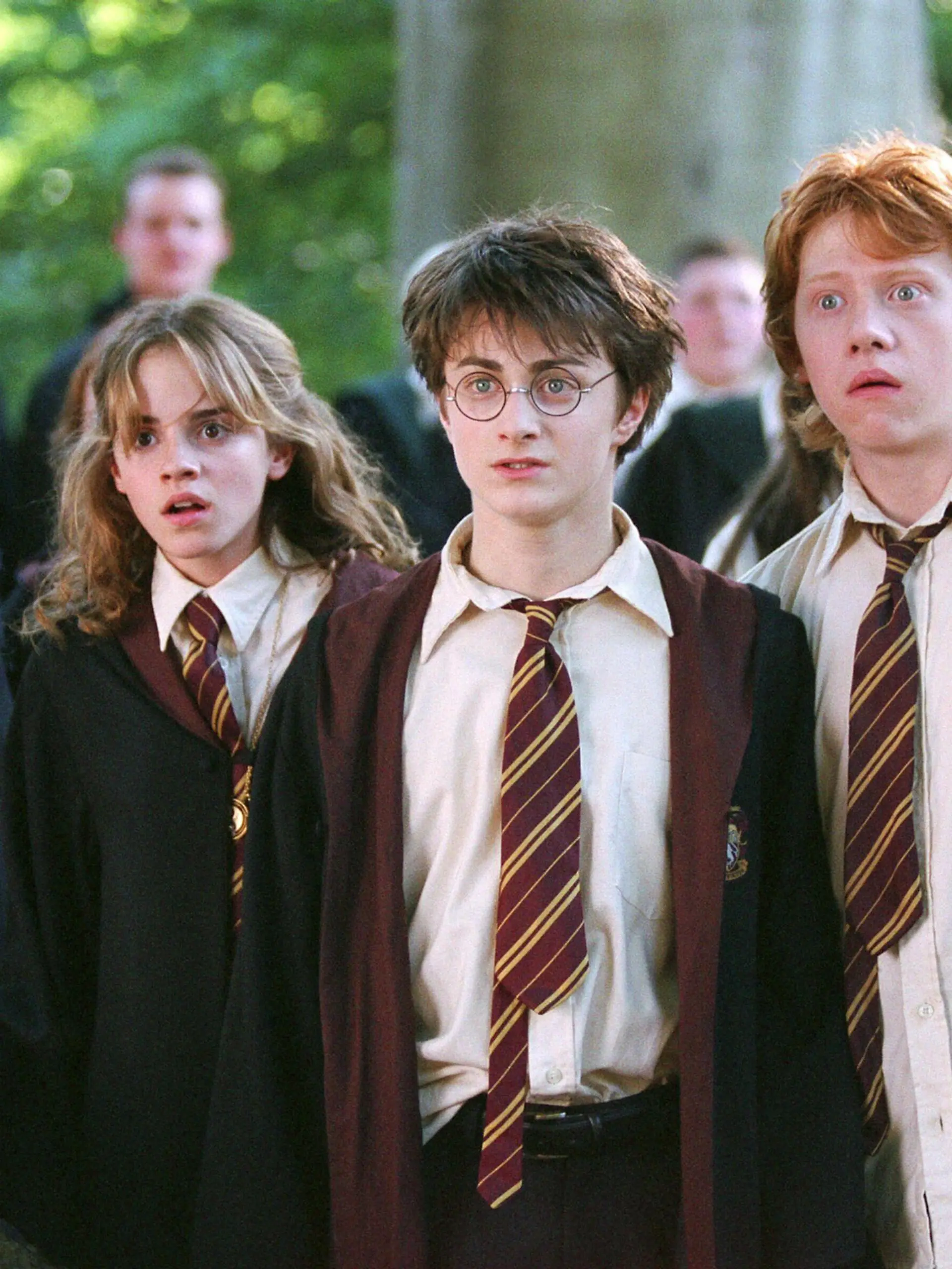 (vo.v.li.) Neville (Matthew Lewis), Hermine (Emma Watson), Harry (Daniel Radcliffe) und Ron (Rupert Grint) sind entsetzt, als Malfoy im Unterricht "Pflege magischer Geschöpfe" von dem Hippogreif Seidenschnabel verletzt wird.
