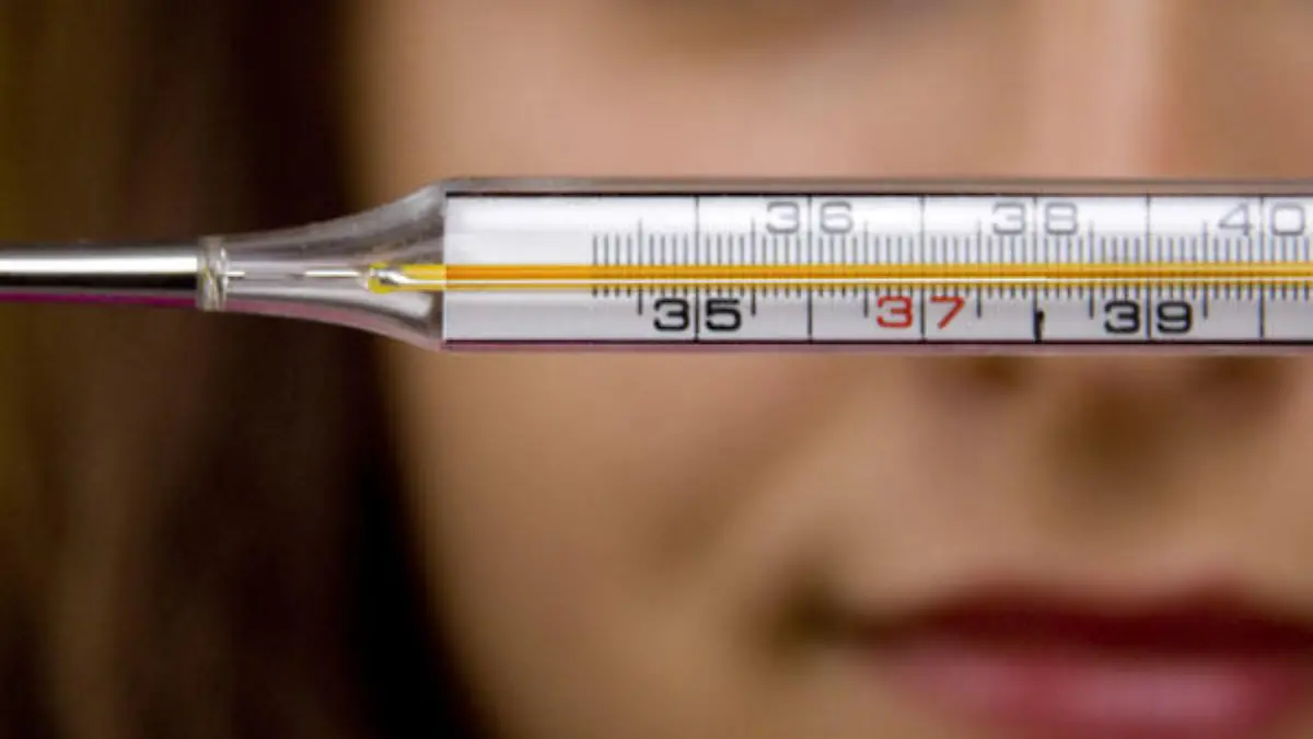 Krank Fieber Fieberthermometer Thermometer