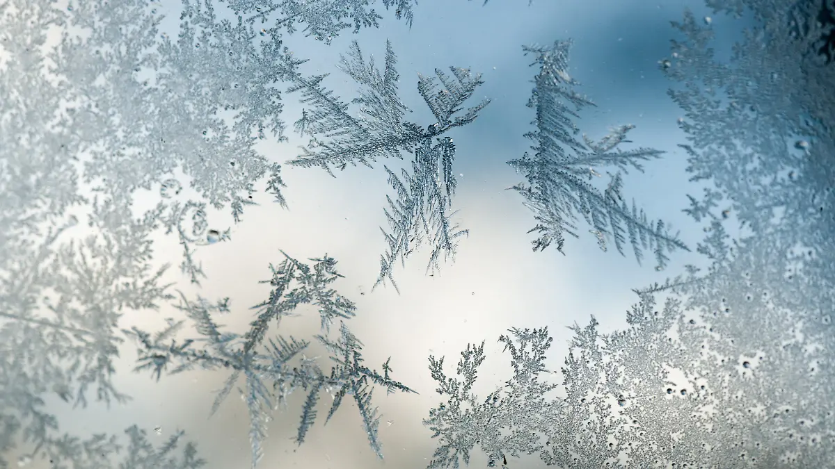 Eiskristalle sind in der Nacht zum Montag (27.02.2012) an der Scheibe eines Autos in Eichwalde, Brandenburg, am Rande von Berlin gewachsen. Foto: Tim Brakemeier dpa/lbn +++(c) dpa - Bildfunk+++