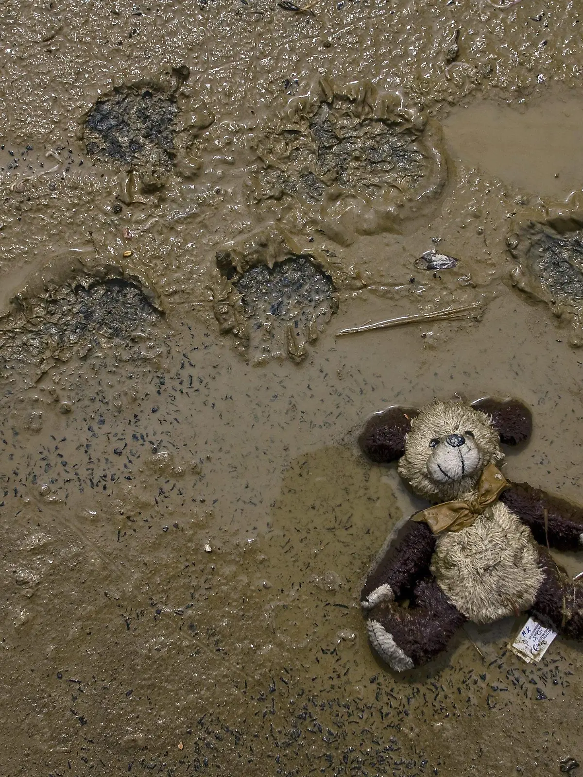A child's teddy bear lays flattened in the mud in the flooded village of Wilkow, Poland, on 14 June 2010. The water level in the Polish province of Lubelskie is falling. Wilkow inhabitants are beginning to return to their houses, but the majority of dwellings are still abandoned. EPA/Wojciech Pacewicz POLAND OUT  +++(c) dpa - Bildfunk+++