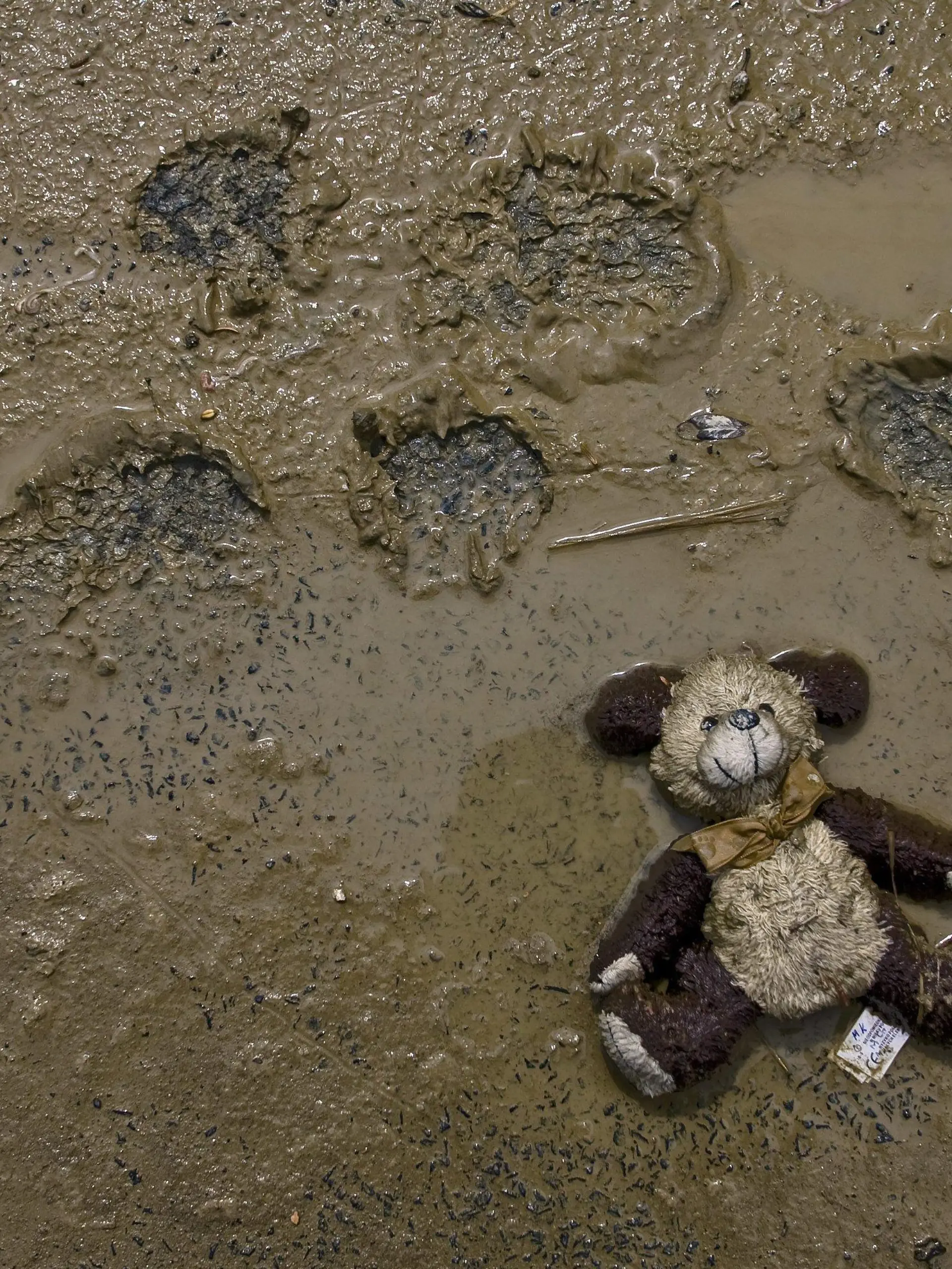 A child's teddy bear lays flattened in the mud in the flooded village of Wilkow, Poland, on 14 June 2010. The water level in the Polish province of Lubelskie is falling. Wilkow inhabitants are beginning to return to their houses, but the majority of dwellings are still abandoned. EPA/Wojciech Pacewicz POLAND OUT  +++(c) dpa - Bildfunk+++