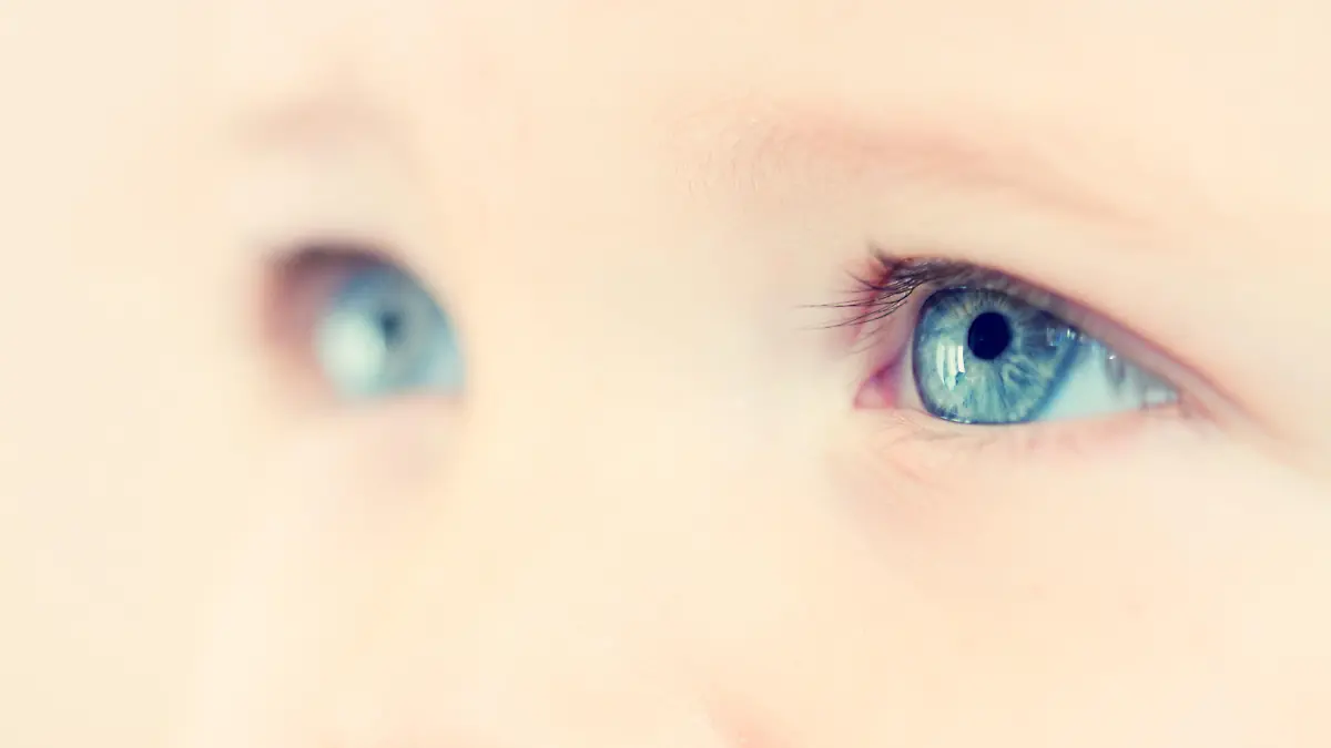 Child Eyes

[url=http://www.istockphoto.com/file_search.php?action=file&lightboxID=8732164][img]http://www.avalonstudio.eu/istock/vetta.jpg[/img][/url]
[url=http://www.istockphoto.com/file_search.php?action=file&lightboxID=6188430][img]http://www.avalonstudio.eu/istock/baby_small.jpg[/img] [/url]

[url=file_closeup.php?id=17066573][img]file_thumbview_approve.php?size=1&id=17066573[/img][/url] 
