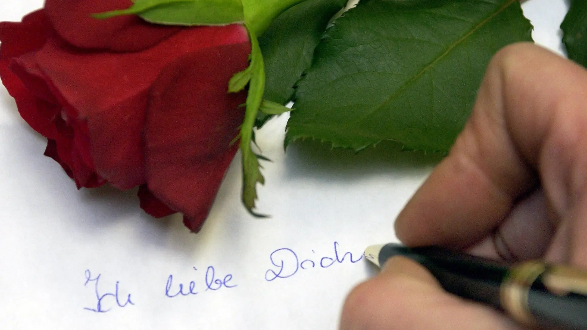 Frankfurt (Oder) (Brandenburg): Ein Mann schreibt am 10.02.2004 in Frankfurt (Oder) auf eine Blatt Papier auf dem eine rote Rose liegt "Ich liebe Dich". Am 14. Februar ist Valentinstag - Tag der Liebenden. An diesem Tag wird man von seinem oder seiner Liebsten beschenkt oder macht dem Menschen, der einem viel bedeutet, eine Freude. Dieser Brauch geht auf den Priester Valentin zurück. Valentin lebte im dritten Jahrhundert nach Christus in Rom. Trotz eines kaiserlichen Verbotes soll Valentin christliche Trauungen vorgenommen haben. Dies war schließlich auch sein Todesurteil, was am 14. Februar 269 vollstreckt wurde.