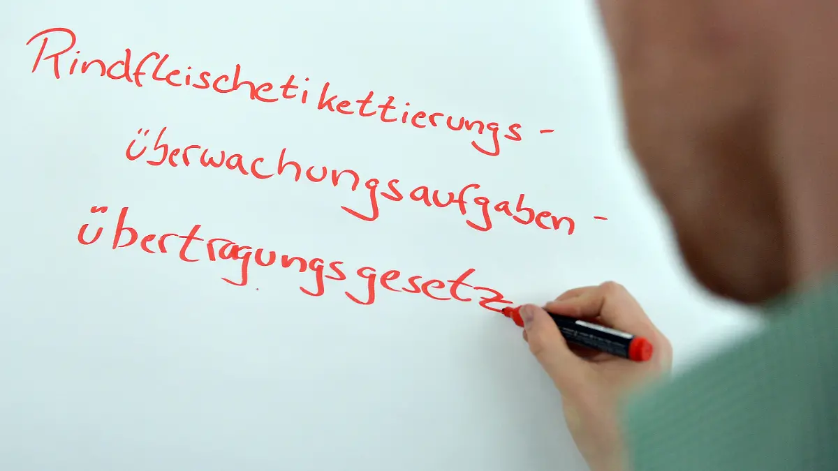 ILLUSTRATION - Ein Mann schreibt das Wort Rindfleischetikettierungsüberwachungsaufgabenübertragungsgesetz am 30.05.2013 in Berlin auf eine Tafel. Das mecklenburg-vorpommerische Landesrecht beherbergte lange das längste Wort der deutschen Sprache. Politiker haben es nun abgeschafft. Foto: Britta Pedersen/dpa +++(c) dpa - Bildfunk+++