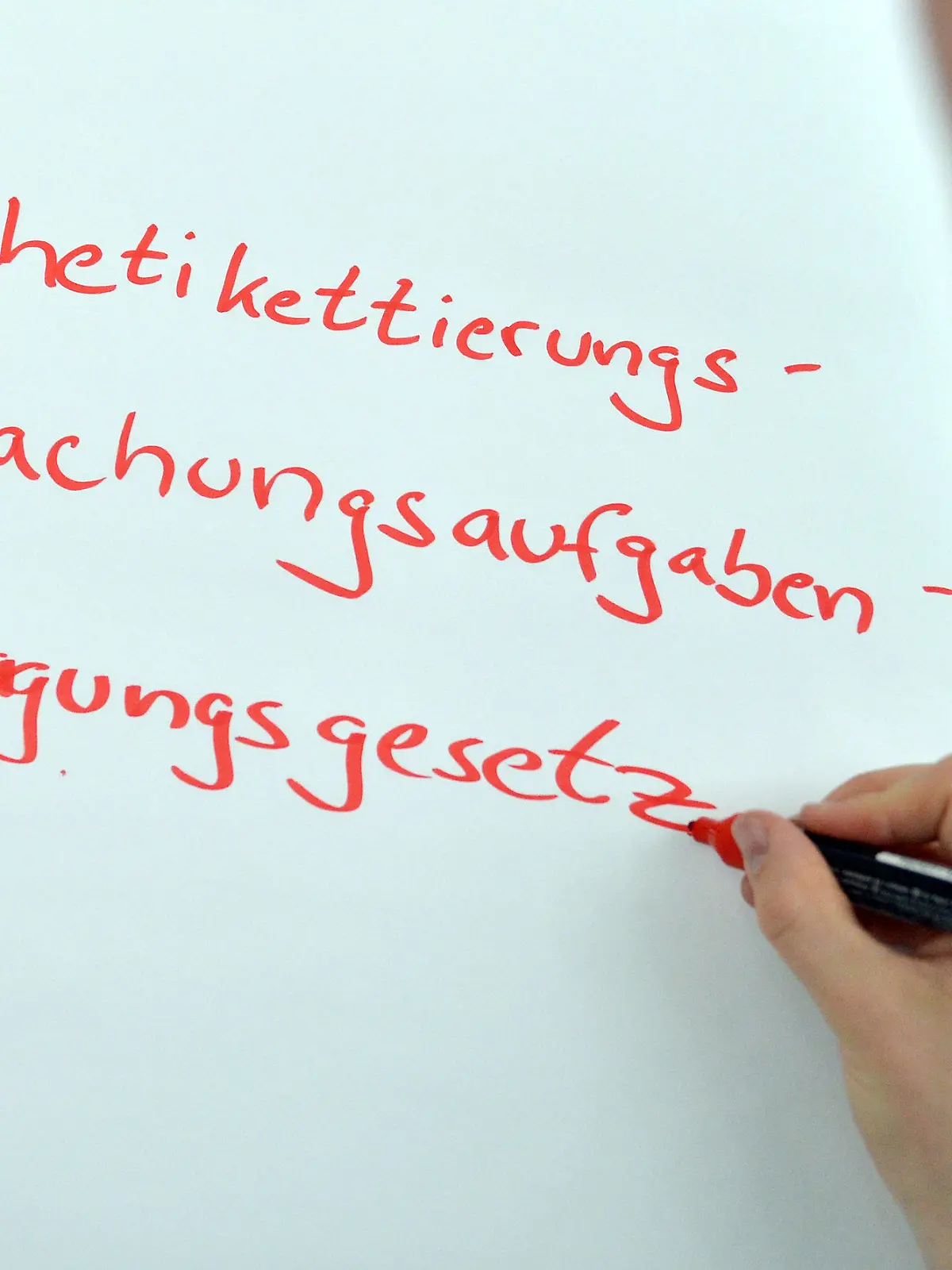 ILLUSTRATION - Ein Mann schreibt das Wort Rindfleischetikettierungsüberwachungsaufgabenübertragungsgesetz am 30.05.2013 in Berlin auf eine Tafel. Das mecklenburg-vorpommerische Landesrecht beherbergte lange das längste Wort der deutschen Sprache. Politiker haben es nun abgeschafft. Foto: Britta Pedersen/dpa +++(c) dpa - Bildfunk+++