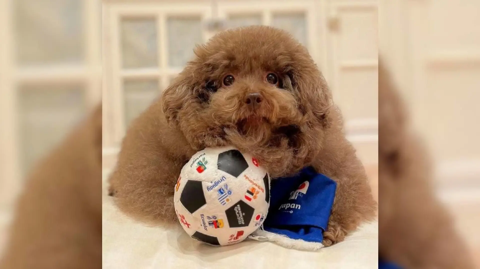 Mohu mit Fußball