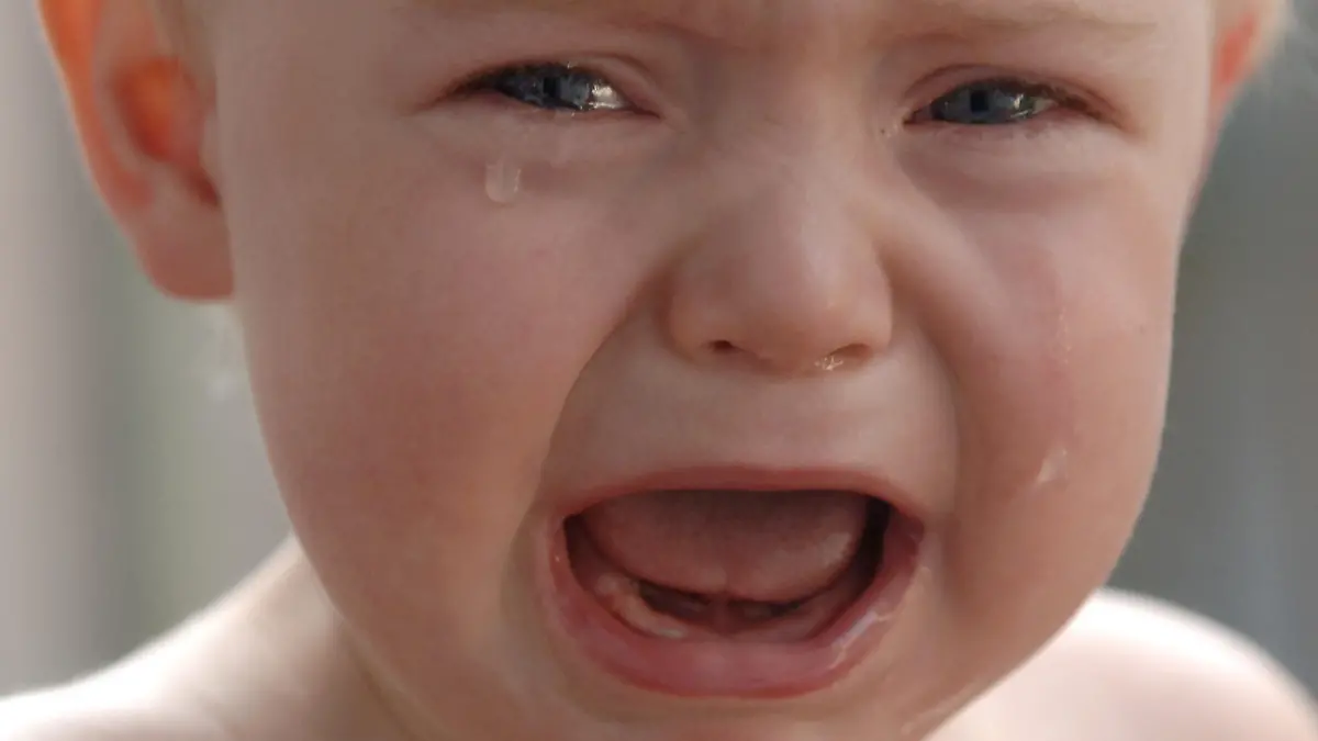 ARCHIV - Ein 14 Monate alter Junge weint lautstark und energisch, um seinen Wünschen Nachdruck zu verleihen, aufgenommen am 05.07.2005 in Leipzig. Brüllende Babys setzen ihren Willen besser durch, wenn Fremde zuschauen - etwa im Gedrängel einer Warteschlange im Supermarkt. Nun haben Forscher belegt, dass dieser unter Menschen verbreitete «soziale» Impuls sehr alte biologische Wurzeln hat, wie das Magazin «Geo» berichtet. Foto: Peter Endig dpa (zu dpa 0376) +++(c) dpa - Bildfunk+++