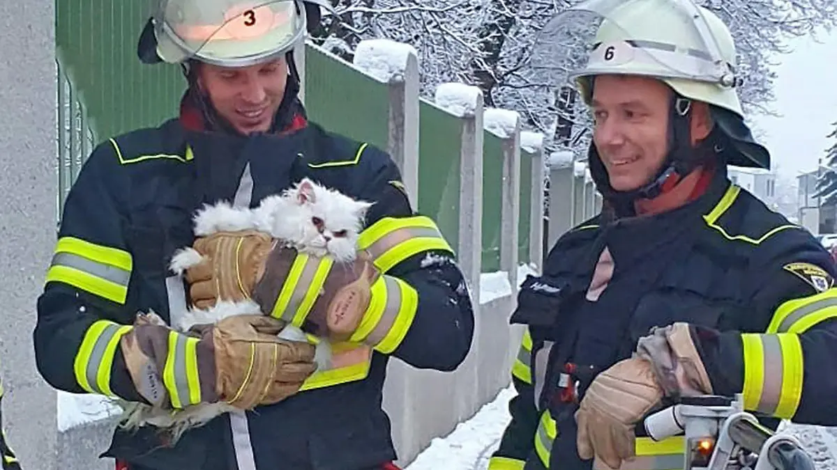 Einsatzfoto Berufsfeuerwehr München