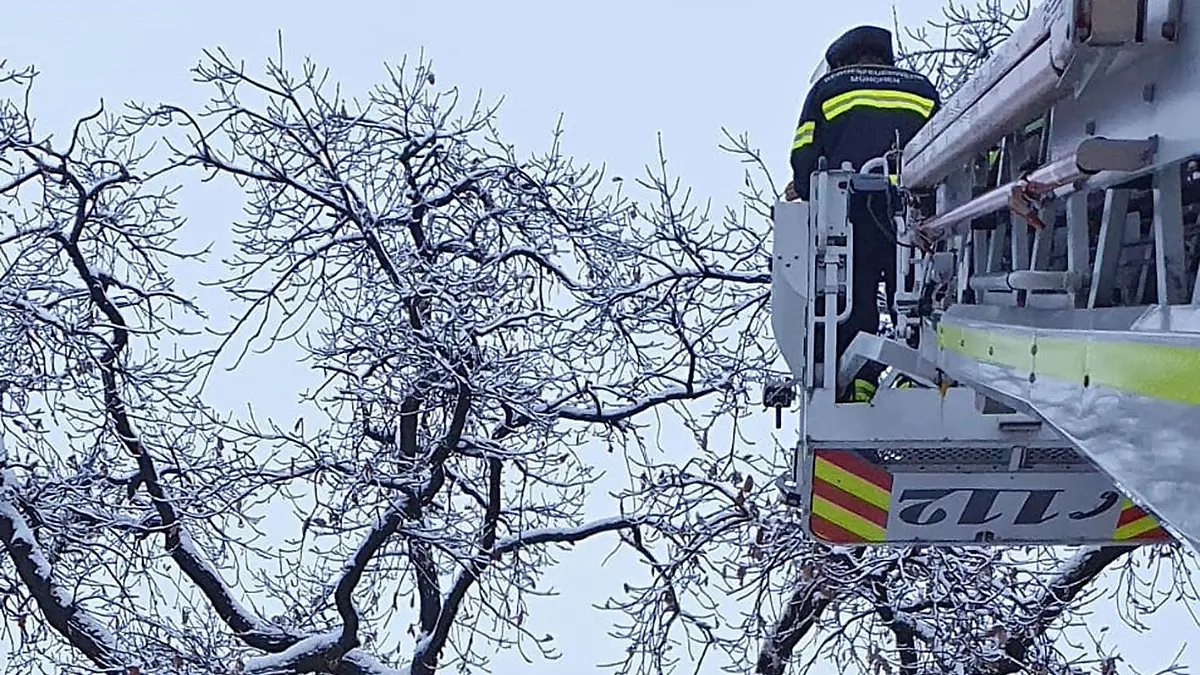 Einsatzfoto Berufsfeuerwehr München