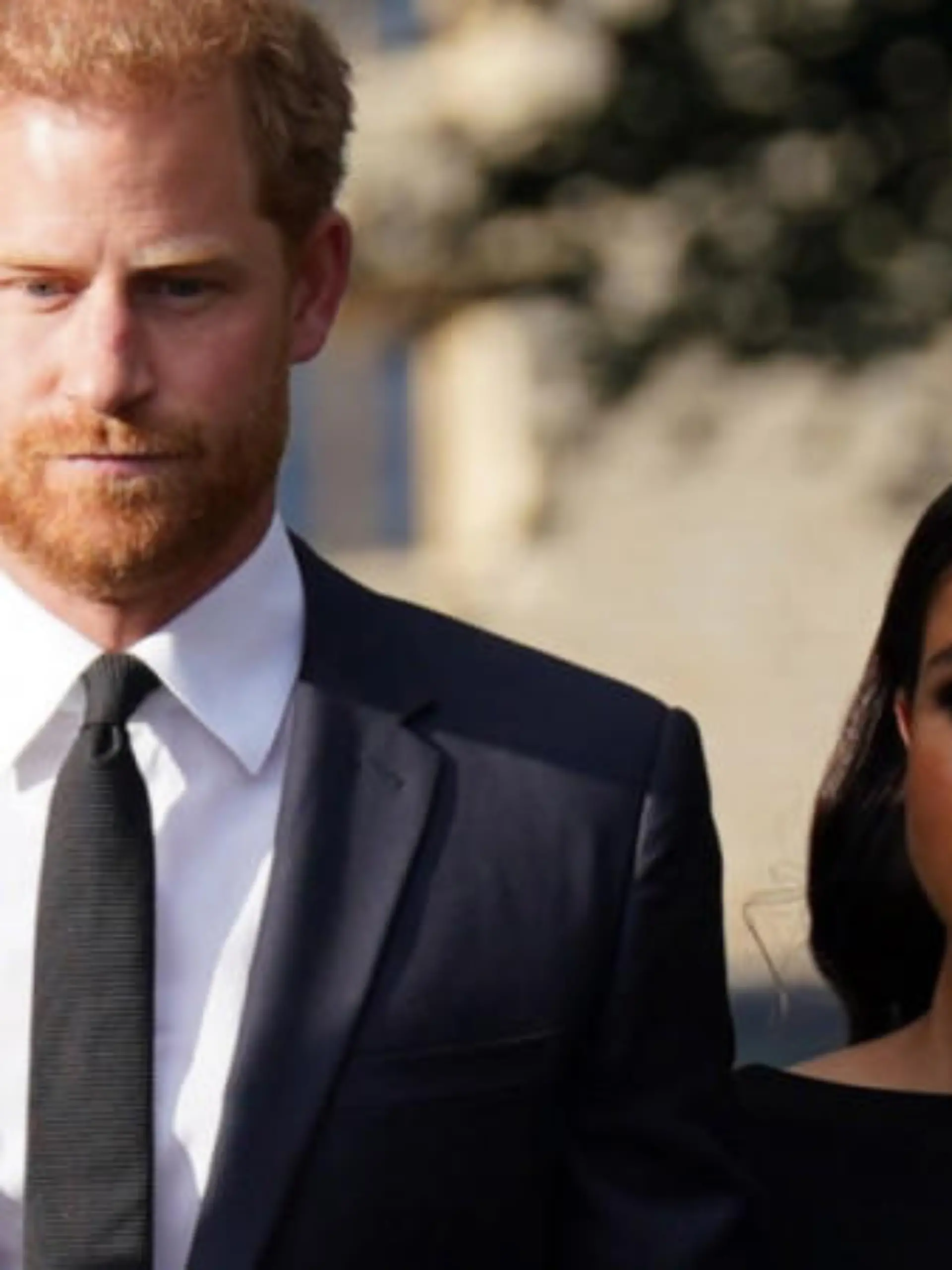 Ex-Pressesprecher der Queen schießt gegen Prinz Harry und Meghan Markle