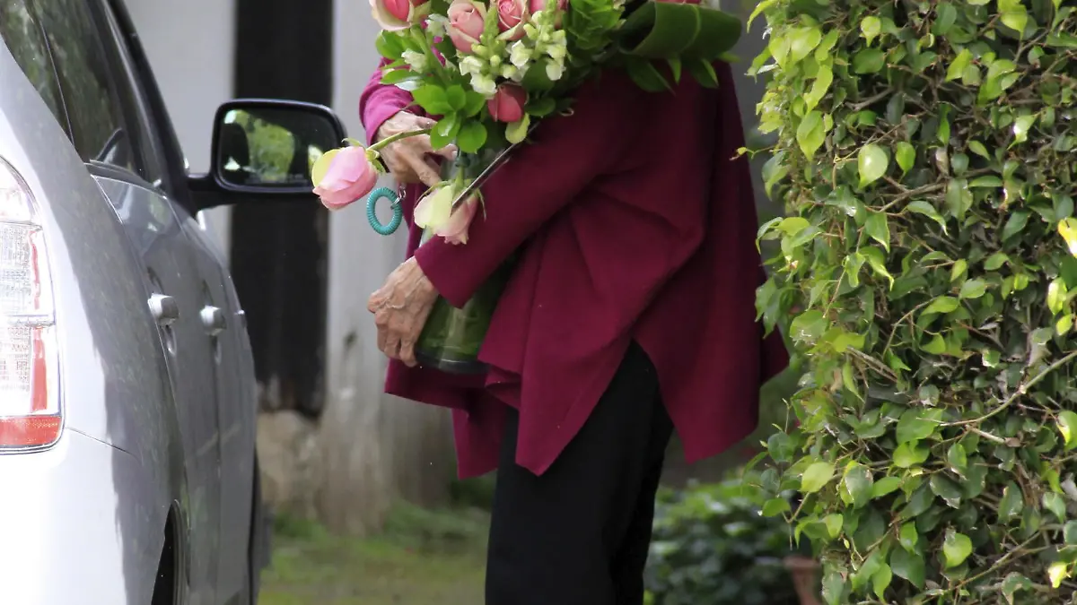 Veteran TV actress Valerie Harper who has recently been diagnosed with terminal brain cancer arrives at her home in her Prius car and carries out a bouquet of flowersFeaturing: Valerie HarperWhere: Los Angeles, California, United StatesWhen: 07 Mar 2013Credit: JFXimages/WENN.com