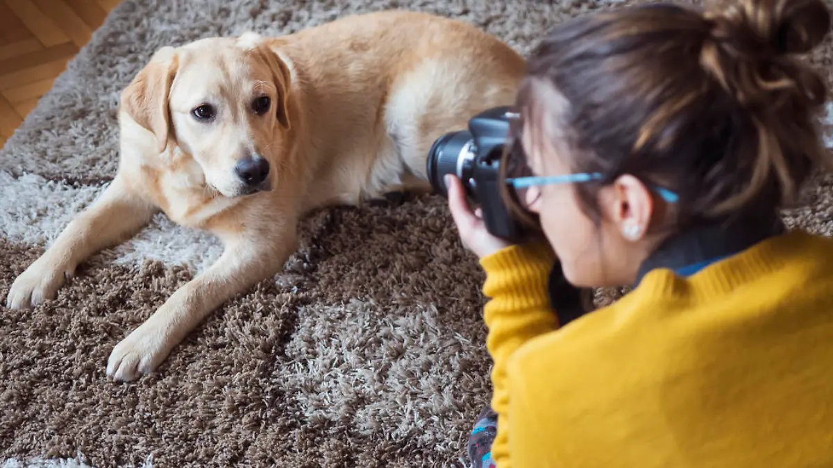 Young woman at home photographing dog