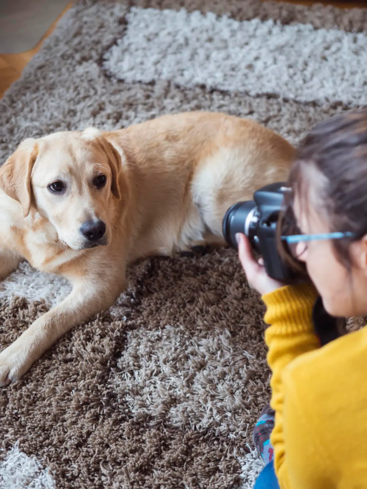 Young woman at home photographing dog