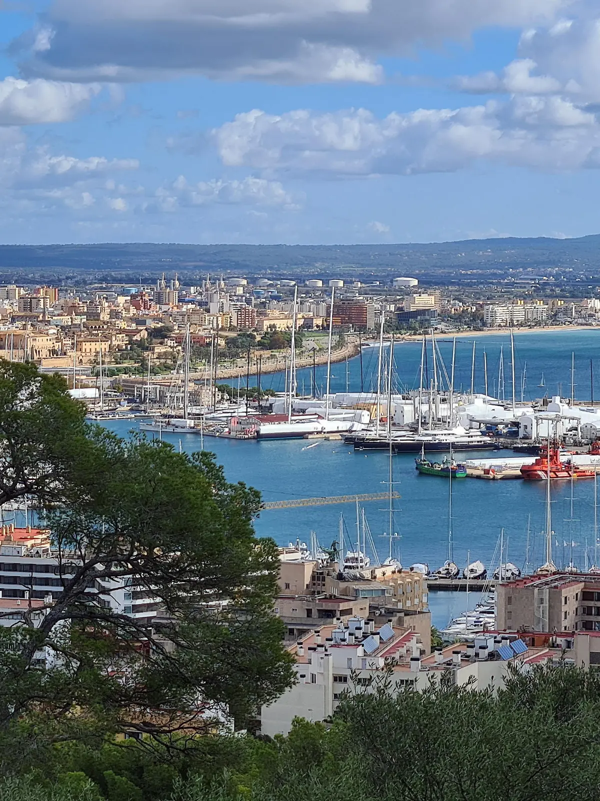 Das milde, meditarane Klima der Baleareninsel Mallorca laedt viele, vor allem Rentner, zum ueberwintern ein, Themenfoto: Mallorca Spanien, Balearen, Playa de Palma, Foto: Eibner-Pressefoto/Juergen Augst