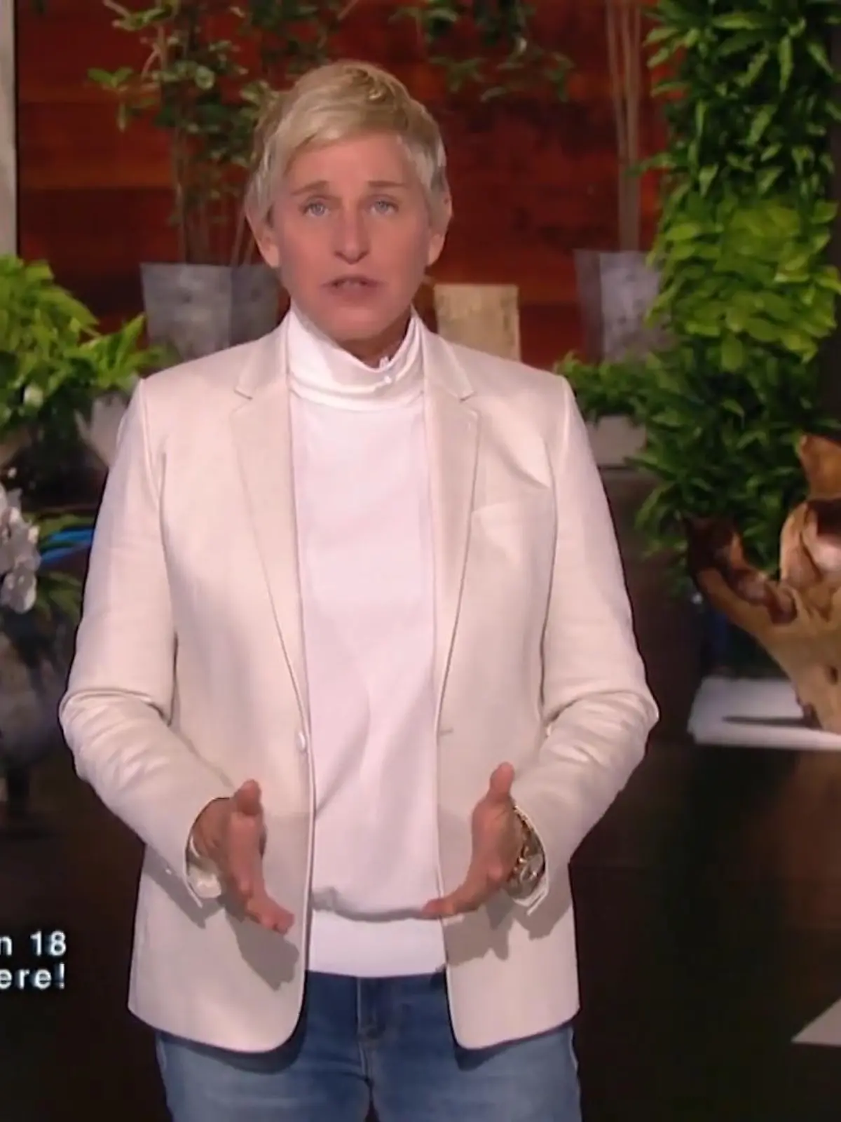 Bild zu: "Ellen DeGeneres hört auf"