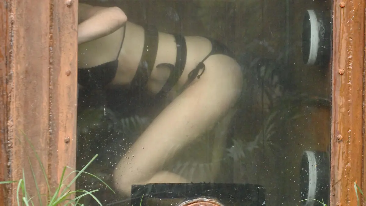 Tag 16 - Dschungelprüfung 16, Teil 1 - Claudelle Deckert, "Nervenstärke": Claudelle Deckert muss im 'Großen Finale' zu ihrer letzten Dschungelprüfung. Auf dem Grund von zwei Wassertanks mit Aalen, Schlammkrabben, Wasserspinnen und Flusskrebsen kann sie insgesamt bis zu fünf Sterne finden. # Foto: RTL / Stefan Menne

Verwendung der Bilder für Online-Medien ausschließlich mit folgender Verlinkung: "Alle Infos zu "Ich bin ein Star - Holt mich hier raus!" im Special bei RTL.de: http://www.rtl.de/cms/sendungen/ich-bin-ein-star.html

NUR ZUR EINMALIGEN VERÖFFENTLICHUNG ! KEINE WEITERGABE AN DRITTE ! 
KEINE VERWENDUNG NACH DEM 10.02.2013 !! KEINE ARCHIVIERUNG !

Suchbegriff: Dschungelcamp *** Local Caption *** Verwendung der Bilder für Online-Medien ausschließlich mit folgender Verlinkung: "Alle Infos zu "Ich bin ein Star - Holt mich hier raus!" im Special bei RTL.de: http://www.rtl.de/cms/sendungen/ich-bin-ein-star.html

NUR ZUR EINMALIGEN VERÖFFENTLICHUNG ! KEINE WEITERGABE AN DRITTE ! 
KEINE VERWENDUNG NACH DEM 10.02.2013 !! KEINE ARCHIVIERUNG !

Suchbegriff: Dschungelcamp