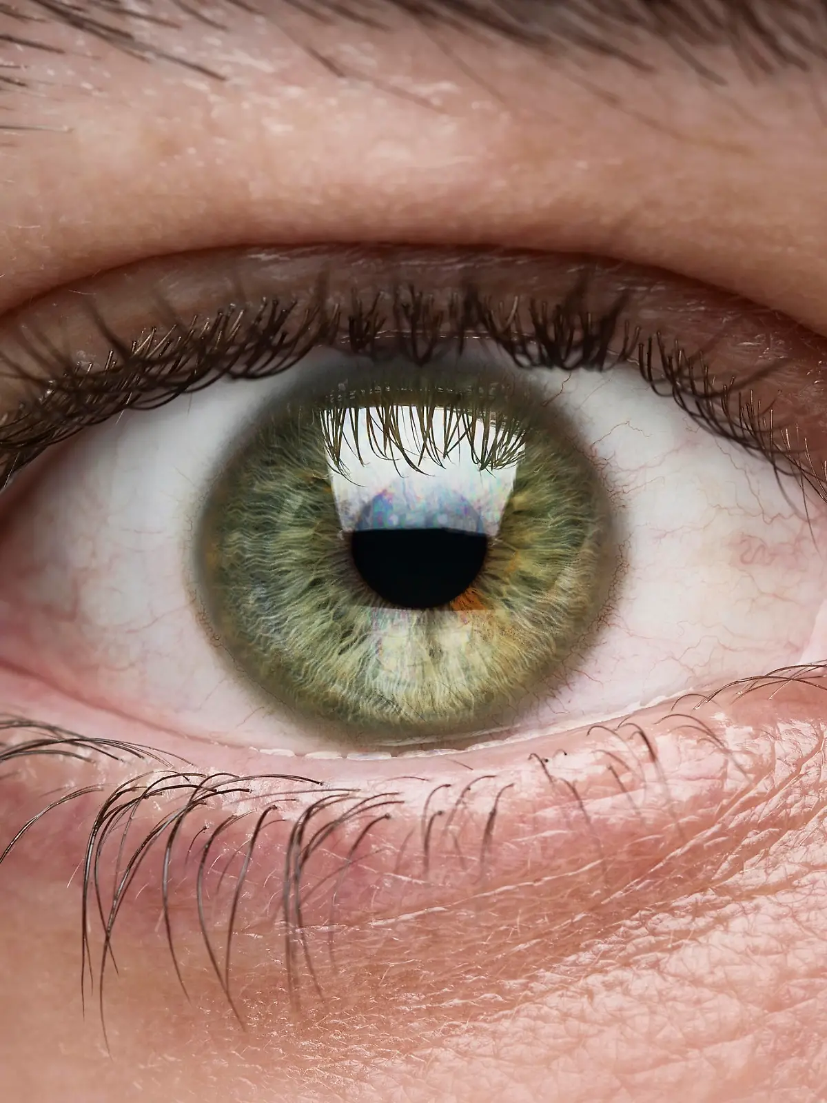 Macro shot of male eye