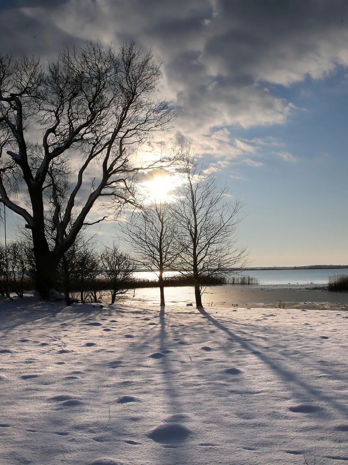 Eingeschneit ist die Landschaft in Wustrow (Mecklenburg-Vorpommern) auf der Ostseehalbinsel Fischland am 13.01.2013. Mit Schnee und Frost hat sich der Winter auch an der Ostsee zurückgemeldet. Foto: Bernd Wüstneck  +++(c) dpa - Bildfunk+++
