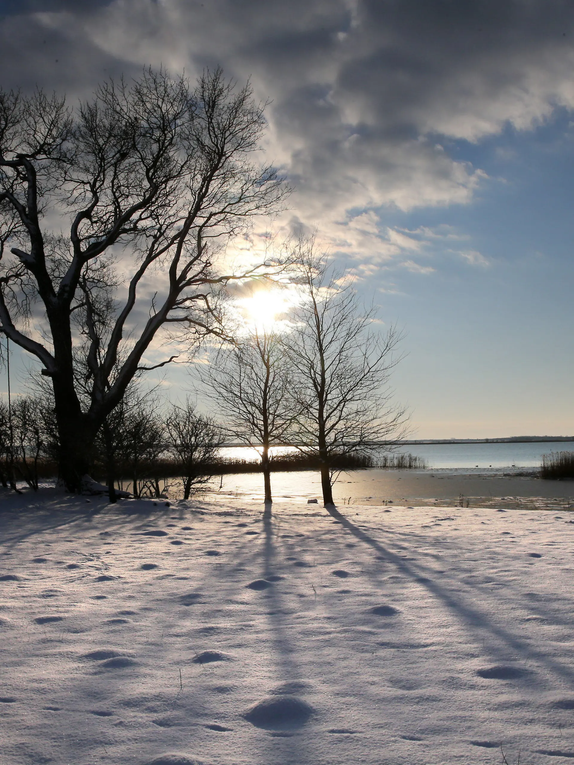 Eingeschneit ist die Landschaft in Wustrow (Mecklenburg-Vorpommern) auf der Ostseehalbinsel Fischland am 13.01.2013. Mit Schnee und Frost hat sich der Winter auch an der Ostsee zurückgemeldet. Foto: Bernd Wüstneck  +++(c) dpa - Bildfunk+++