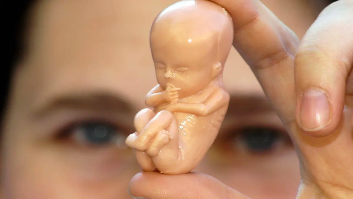 woman holding a small human embryo figure between her fingers