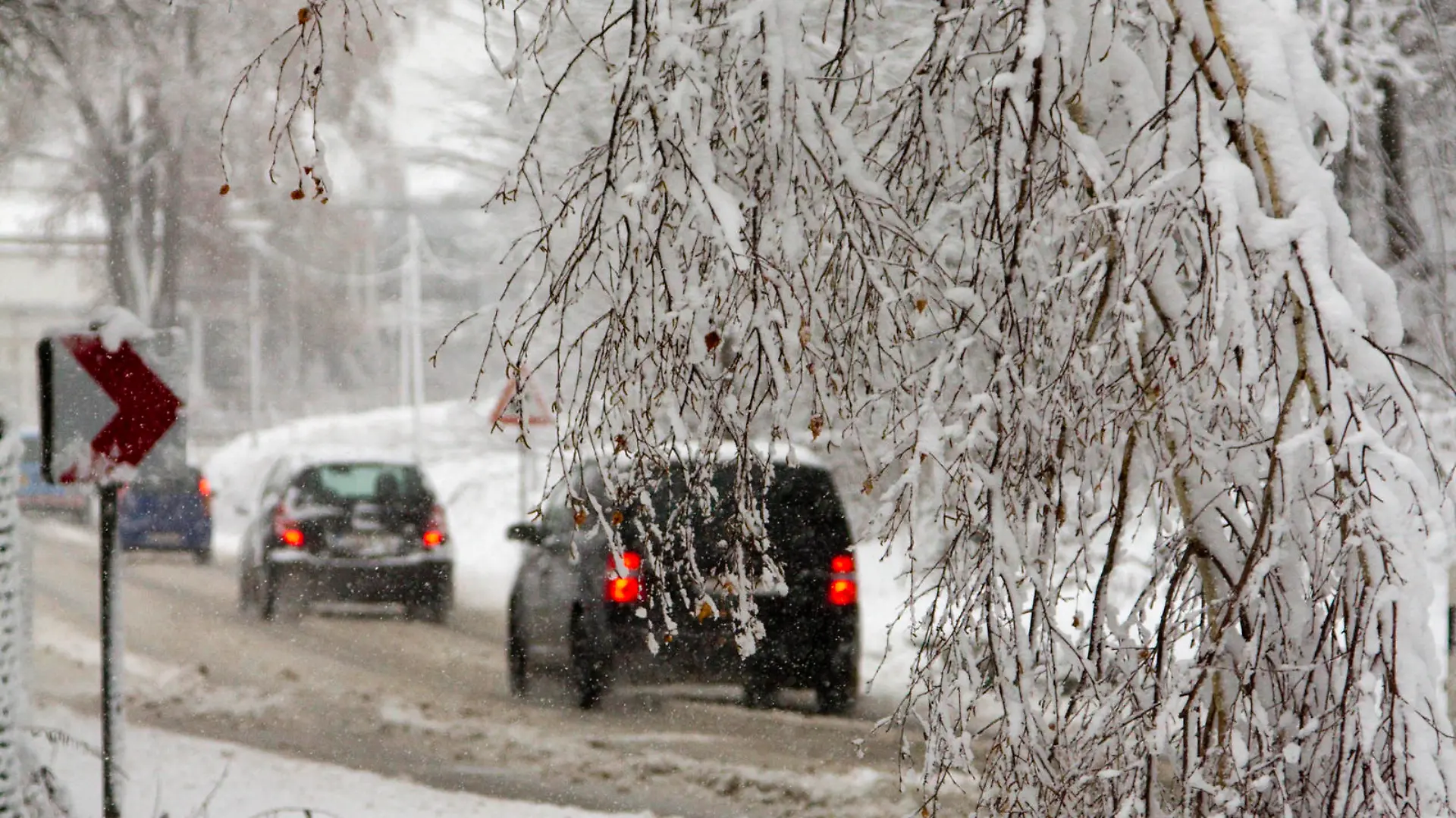 Voller Schnee sind die Bäume an einer Straße bei Schönfeld (Sachsen) am 29.11.2012. Schneefälle sorgten im Erzgebirge für schwierige Verkehrsverhältnisse. Foto: Bernd März/dpa  +++(c) dpa - Bildfunk+++