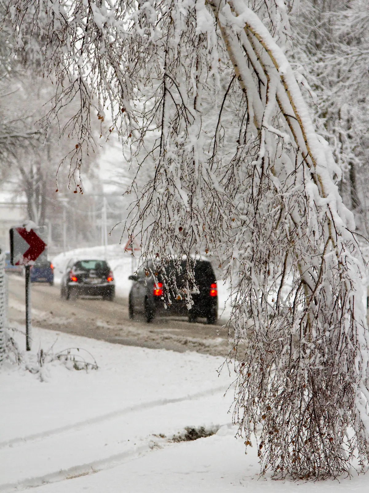 Voller Schnee sind die Bäume an einer Straße bei Schönfeld (Sachsen) am 29.11.2012. Schneefälle sorgten im Erzgebirge für schwierige Verkehrsverhältnisse. Foto: Bernd März/dpa  +++(c) dpa - Bildfunk+++
