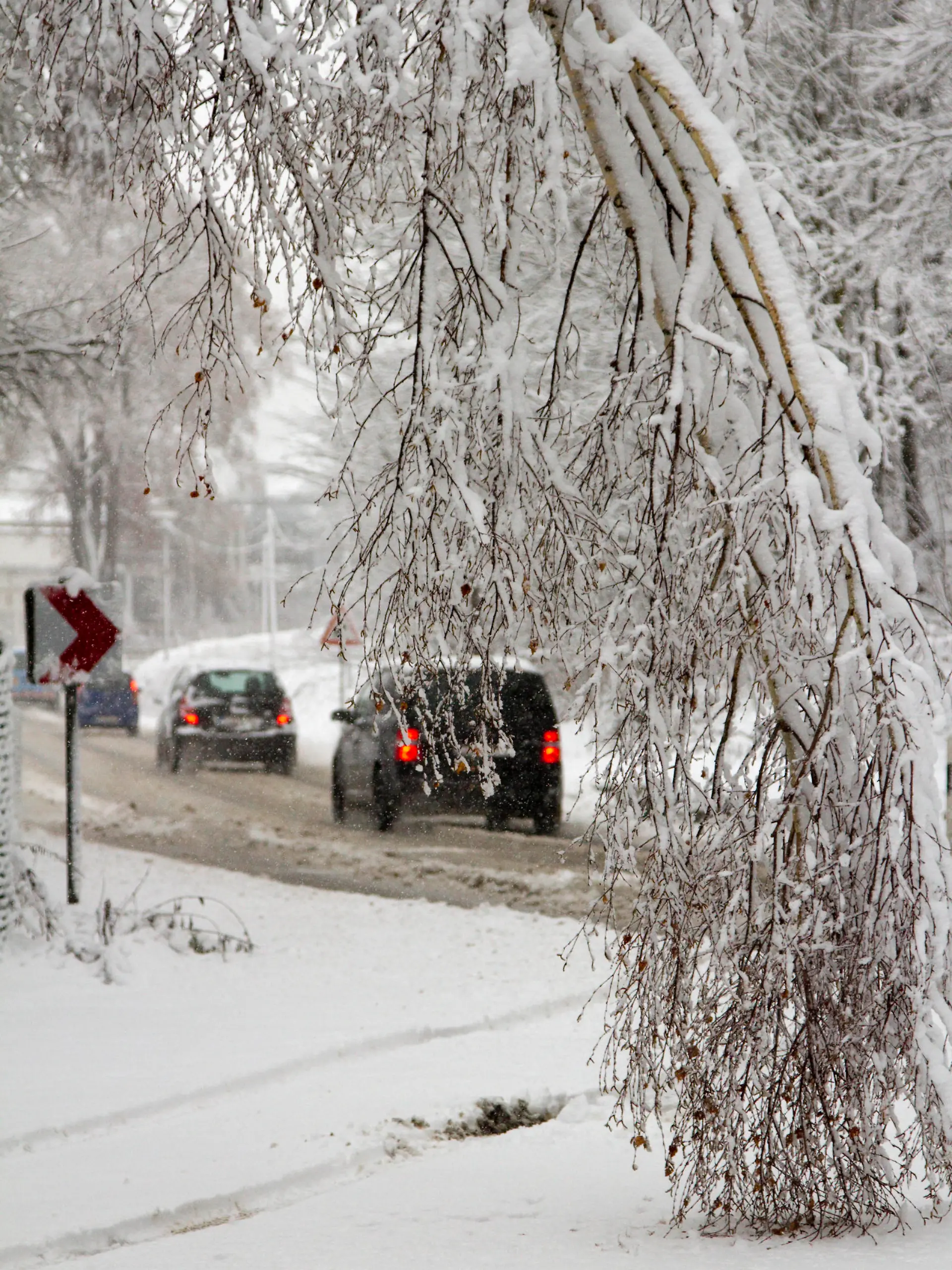 Voller Schnee sind die Bäume an einer Straße bei Schönfeld (Sachsen) am 29.11.2012. Schneefälle sorgten im Erzgebirge für schwierige Verkehrsverhältnisse. Foto: Bernd März/dpa  +++(c) dpa - Bildfunk+++